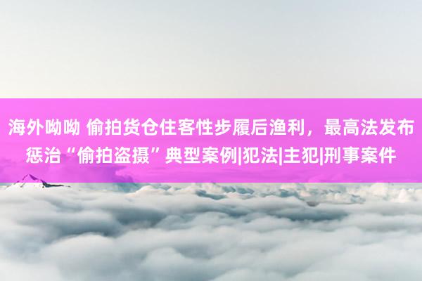 海外呦呦 偷拍货仓住客性步履后渔利，最高法发布惩治“偷拍盗摄”典型案例|犯法|主犯|刑事案件