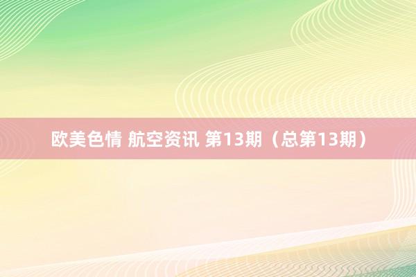 欧美色情 航空资讯 第13期（总第13期）