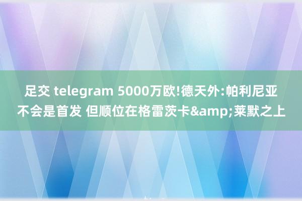 足交 telegram 5000万欧!德天外:帕利尼亚不会是首发 但顺位在格雷茨卡&莱默之上