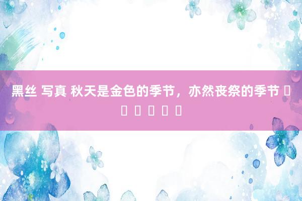 黑丝 写真 秋天是金色的季节，亦然丧祭的季节 ❄️❄️❄️