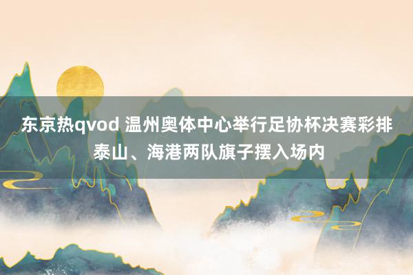 东京热qvod 温州奥体中心举行足协杯决赛彩排 泰山、海港两队旗子摆入场内
